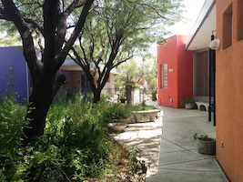 Tucson Artisan home and courtyard.