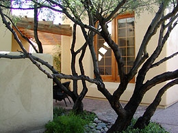 Tucson Artisan guest house.
