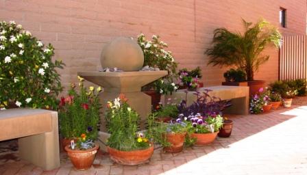 potted plants and fountain