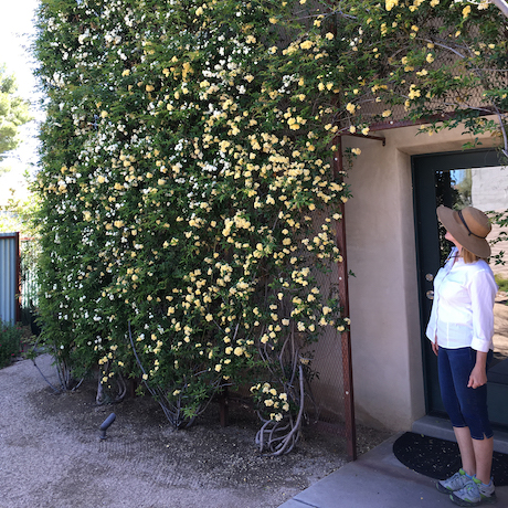 Tucson Artisan Builders green screen.