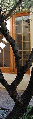 Tucson Artisan Builders exterior sample.